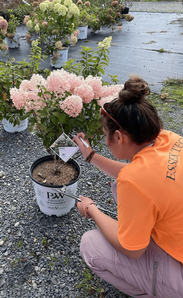 Uno studente si inginocchia vicino a una pianta fiorita in vaso, controllando l'etichetta della pianta.