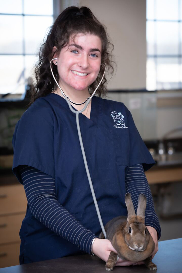 Un estudiante usa un estetoscopio para verificar los latidos del corazón de un conejo marrón.