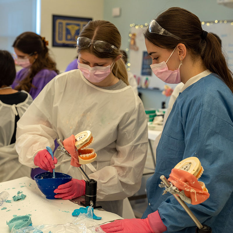 Dois alunos trabalham em moldes de dente.