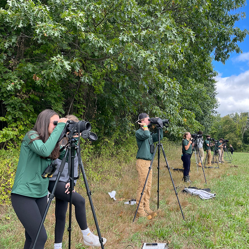Uma fileira de alunos usando câmeras em tripés em frente a um banco de árvores no verão.