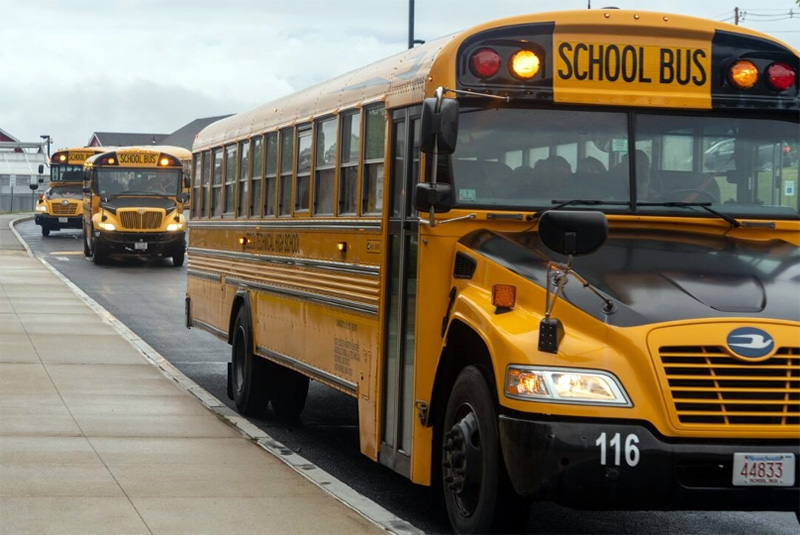 School buses line a curb.