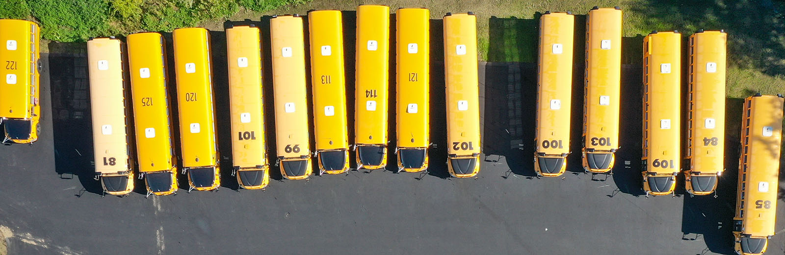 Bright yellow school buses lined up in a parking lot.